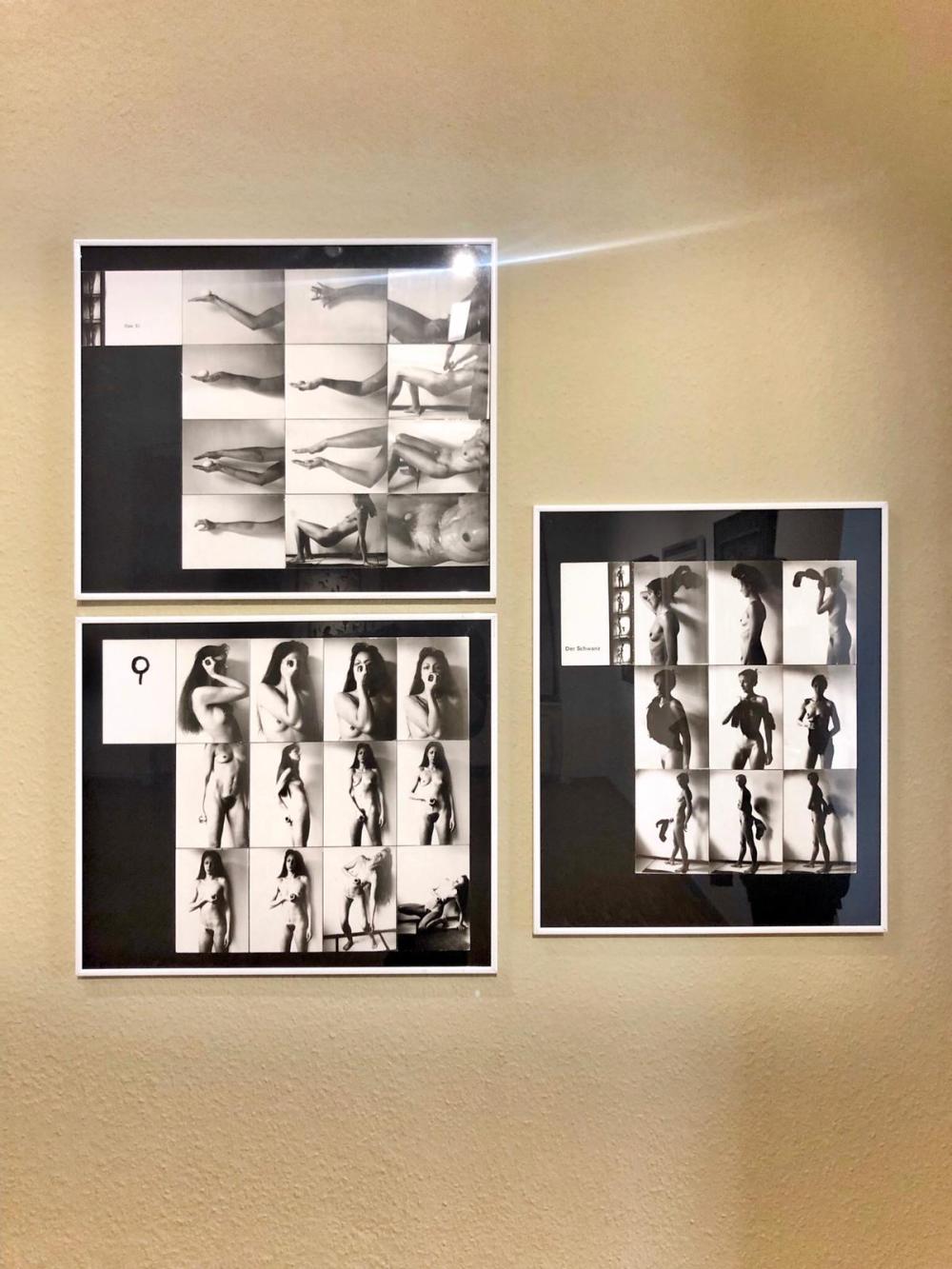 schaffende-galatea-kunstverein-talstraße-female-gaze.blog-gabriele-stötzer