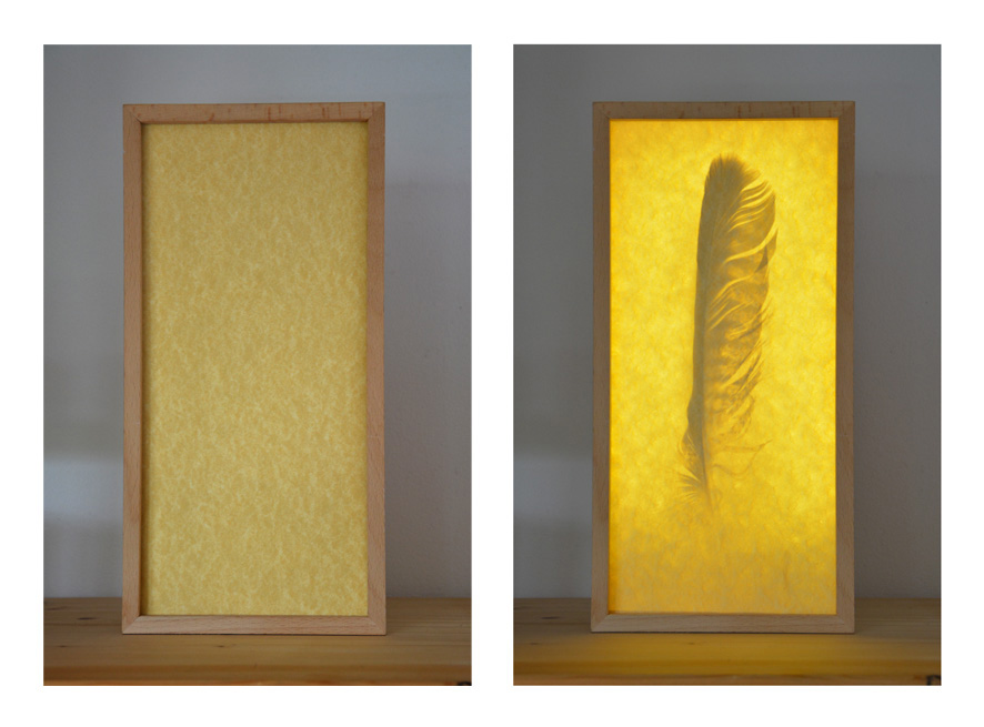 Der Dummling 2- EVA - Schwarzerschimmel-female-gaze.blog