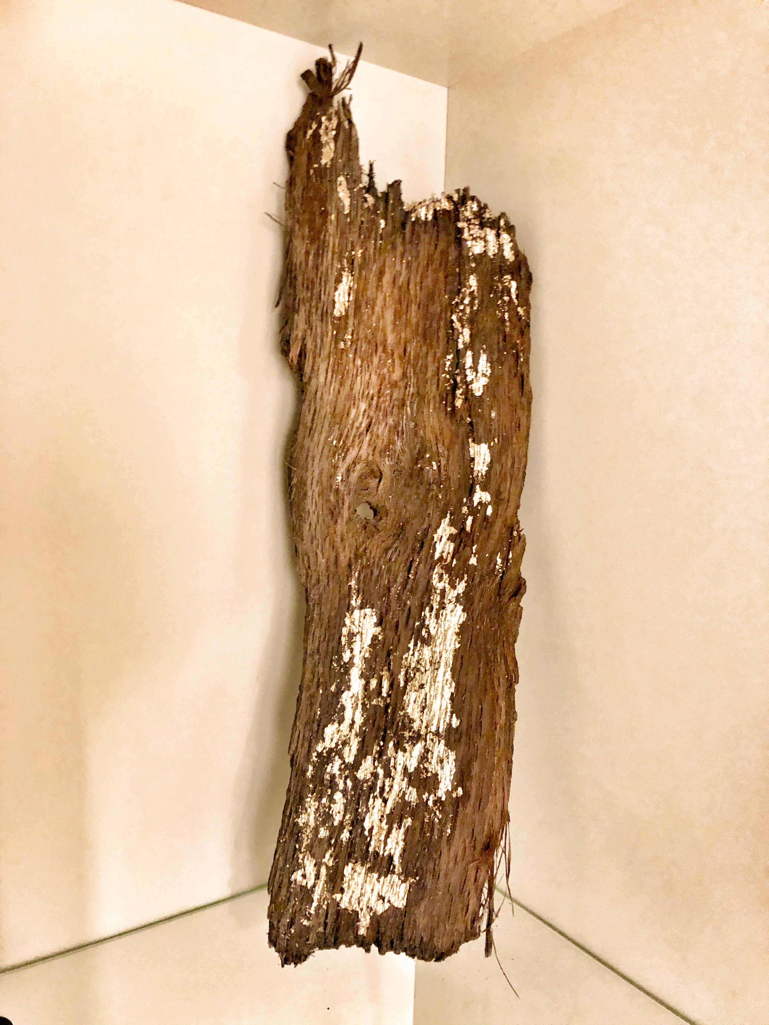 schönste Eiche Hamburgs - EVA - Schwarzerschimmel-female-gaze.blog